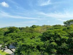 Royalgreen (D10), Condominium #460981631